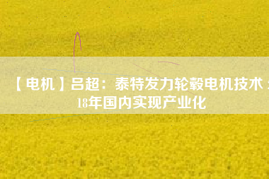 【電機(jī)】呂超：泰特發(fā)力輪轂電機(jī)技術(shù) 2018年國(guó)內(nèi)實(shí)現(xiàn)產(chǎn)業(yè)化
          