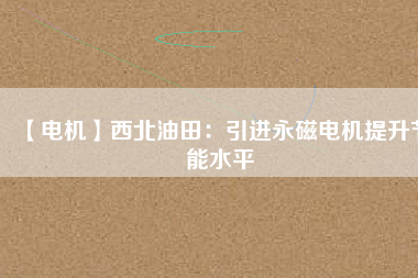【電機】西北油田：引進(jìn)永磁電機提升節(jié)能水平
          