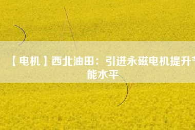 【電機】西北油田：引進(jìn)永磁電機提升節(jié)能水平
          