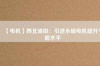 【電機】西北油田：引進(jìn)永磁電機提升節(jié)能水平
          
