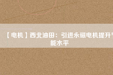 【電機】西北油田：引進(jìn)永磁電機提升節(jié)能水平
          