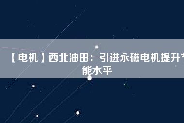 【電機】西北油田：引進(jìn)永磁電機提升節(jié)能水平
          