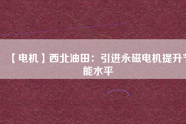 【電機】西北油田：引進(jìn)永磁電機提升節(jié)能水平
          