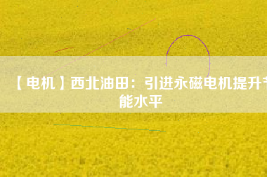 【電機】西北油田：引進(jìn)永磁電機提升節(jié)能水平
          