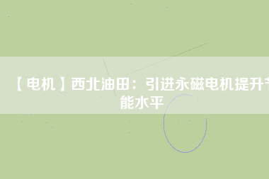 【電機】西北油田：引進(jìn)永磁電機提升節(jié)能水平
          