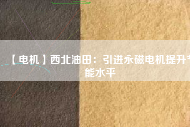 【電機】西北油田：引進(jìn)永磁電機提升節(jié)能水平
          