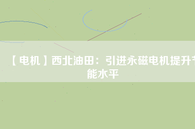 【電機】西北油田：引進(jìn)永磁電機提升節(jié)能水平
          