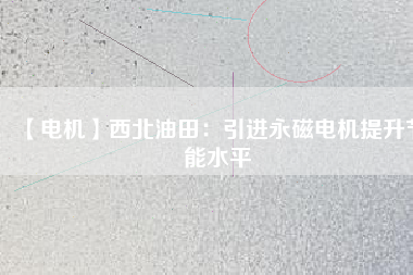 【電機】西北油田：引進(jìn)永磁電機提升節(jié)能水平
          