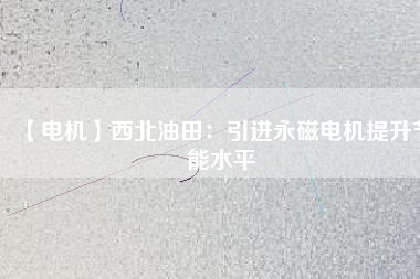 【電機】西北油田：引進(jìn)永磁電機提升節(jié)能水平
          