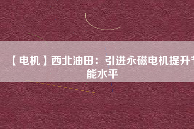 【電機】西北油田：引進(jìn)永磁電機提升節(jié)能水平
          