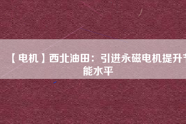 【電機】西北油田：引進(jìn)永磁電機提升節(jié)能水平
          