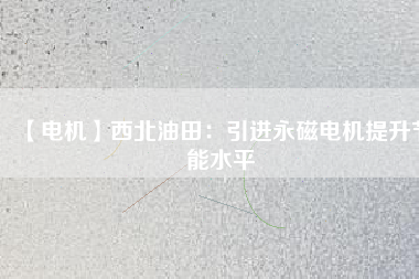 【電機】西北油田：引進(jìn)永磁電機提升節(jié)能水平
          