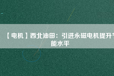 【電機】西北油田：引進(jìn)永磁電機提升節(jié)能水平
          