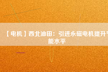 【電機】西北油田：引進(jìn)永磁電機提升節(jié)能水平
          