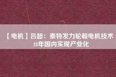 【電機(jī)】呂超：泰特發(fā)力輪轂電機(jī)技術(shù) 2018年國(guó)內(nèi)實(shí)現(xiàn)產(chǎn)業(yè)化
          