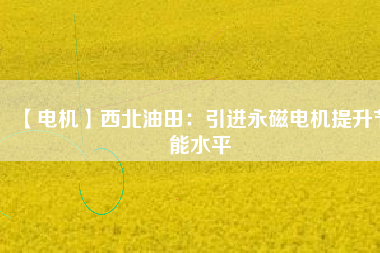 【電機】西北油田：引進(jìn)永磁電機提升節(jié)能水平
          