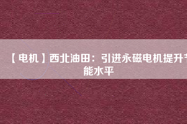 【電機】西北油田：引進(jìn)永磁電機提升節(jié)能水平
          