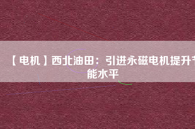 【電機】西北油田：引進(jìn)永磁電機提升節(jié)能水平
          