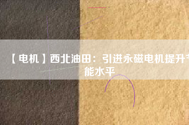 【電機】西北油田：引進(jìn)永磁電機提升節(jié)能水平
          