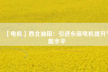 【電機】西北油田：引進(jìn)永磁電機提升節(jié)能水平
          