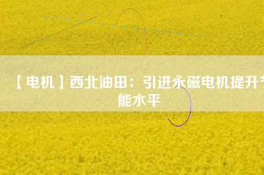 【電機】西北油田：引進(jìn)永磁電機提升節(jié)能水平
          