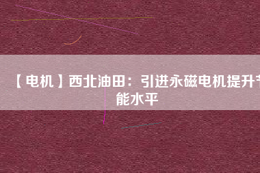 【電機】西北油田：引進(jìn)永磁電機提升節(jié)能水平
          