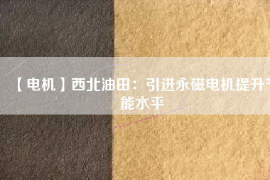 【電機】西北油田：引進(jìn)永磁電機提升節(jié)能水平
          