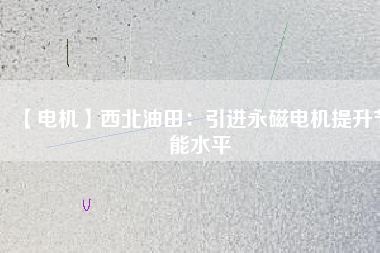 【電機】西北油田：引進(jìn)永磁電機提升節(jié)能水平
          