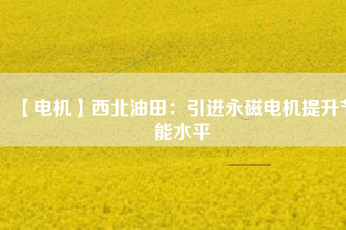 【電機】西北油田：引進(jìn)永磁電機提升節(jié)能水平
          
