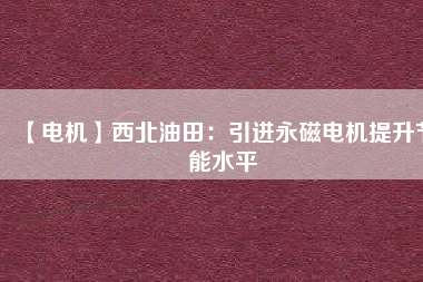 【電機】西北油田：引進(jìn)永磁電機提升節(jié)能水平
          