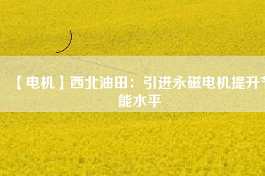【電機】西北油田：引進(jìn)永磁電機提升節(jié)能水平
          