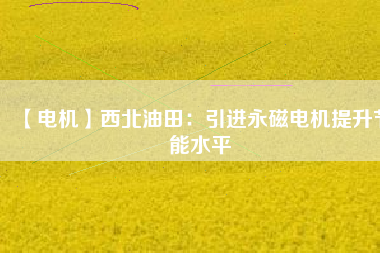 【電機】西北油田：引進(jìn)永磁電機提升節(jié)能水平
          