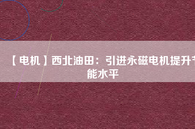 【電機】西北油田：引進(jìn)永磁電機提升節(jié)能水平
          