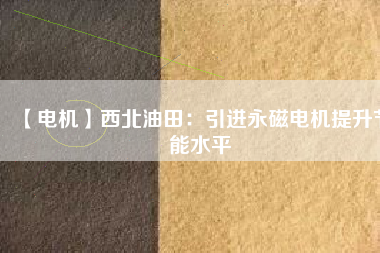【電機】西北油田：引進(jìn)永磁電機提升節(jié)能水平
          
