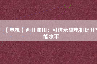 【電機】西北油田：引進(jìn)永磁電機提升節(jié)能水平
          