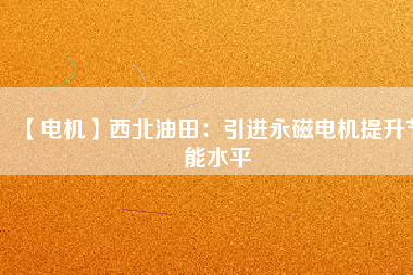 【電機】西北油田：引進(jìn)永磁電機提升節(jié)能水平
          