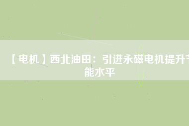 【電機】西北油田：引進(jìn)永磁電機提升節(jié)能水平
          