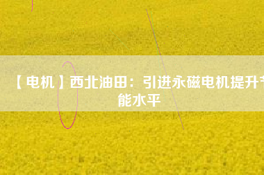 【電機】西北油田：引進(jìn)永磁電機提升節(jié)能水平
          