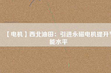 【電機】西北油田：引進(jìn)永磁電機提升節(jié)能水平
          