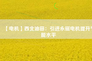 【電機】西北油田：引進(jìn)永磁電機提升節(jié)能水平
          