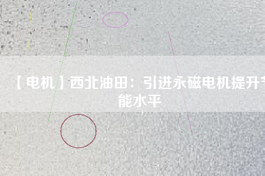 【電機】西北油田：引進(jìn)永磁電機提升節(jié)能水平
          