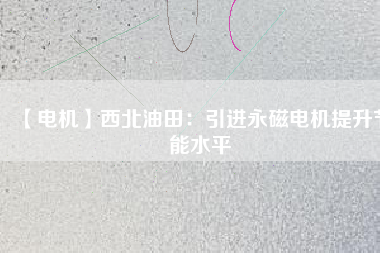 【電機】西北油田：引進(jìn)永磁電機提升節(jié)能水平
          