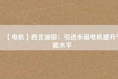 【電機】西北油田：引進(jìn)永磁電機提升節(jié)能水平
          