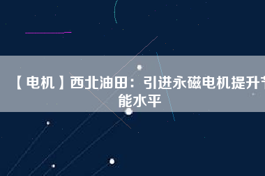 【電機】西北油田：引進(jìn)永磁電機提升節(jié)能水平
          