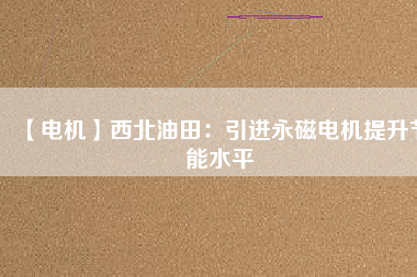 【電機】西北油田：引進(jìn)永磁電機提升節(jié)能水平
          