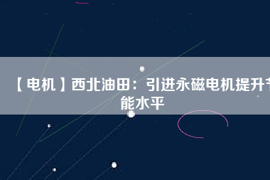 【電機】西北油田：引進(jìn)永磁電機提升節(jié)能水平
          