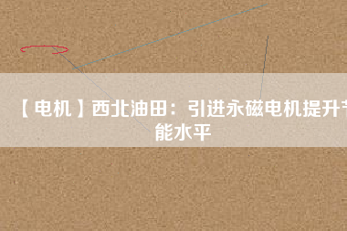 【電機】西北油田：引進(jìn)永磁電機提升節(jié)能水平
          