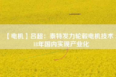 【電機(jī)】呂超：泰特發(fā)力輪轂電機(jī)技術(shù) 2018年國(guó)內(nèi)實(shí)現(xiàn)產(chǎn)業(yè)化
          