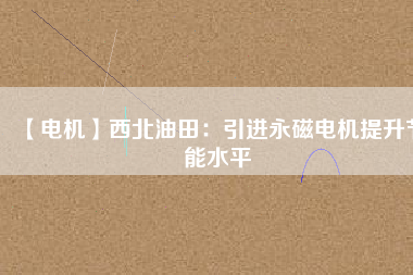 【電機】西北油田：引進(jìn)永磁電機提升節(jié)能水平
          