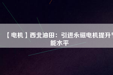 【電機】西北油田：引進(jìn)永磁電機提升節(jié)能水平
          